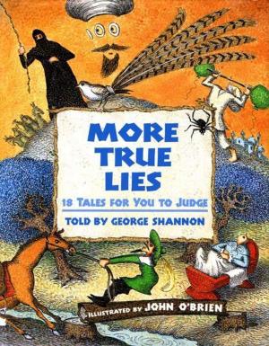Cover of the book More True Lies by Francesca Zappia