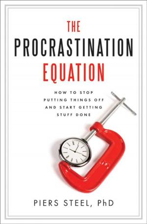 Cover of the book The Procrastination Equation by Holly Goddard Jones