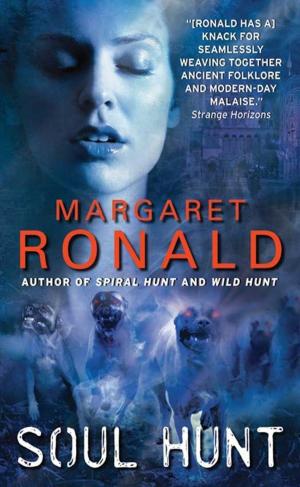 Cover of the book Soul Hunt by Cathy Maxwell