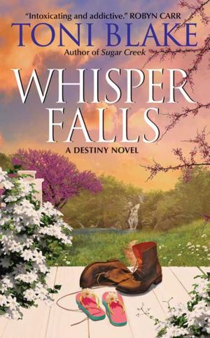 Cover of the book Whisper Falls by David DiBenedetto