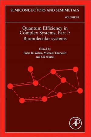 Cover of the book Quantum Efficiency in Complex Systems, Part I by Fernando Agullo-Rueda, José Martínez-Duart, Raúl José Martín-Palma