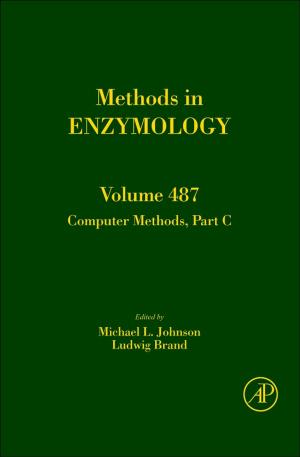 Cover of the book Computer Methods, Part C by Maziar Goudarzi, Ali R. Hurson