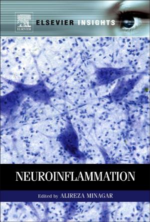 Cover of the book Neuroinflammation by Ruth Chadwick