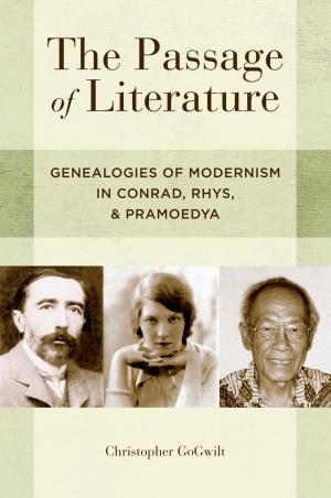 Cover of the book The Passage of Literature by Denise Morgan