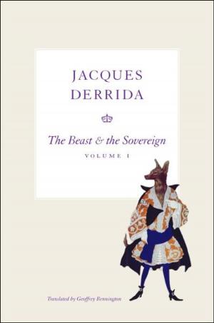 Cover of The Beast and the Sovereign, Volume I
