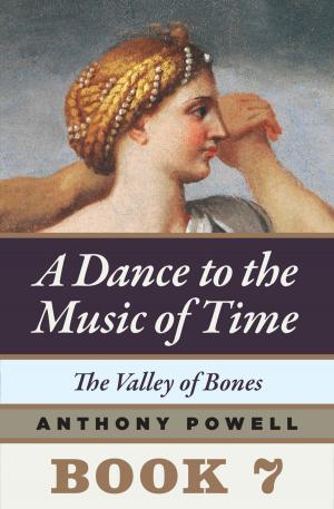 Book cover of The Valley of Bones