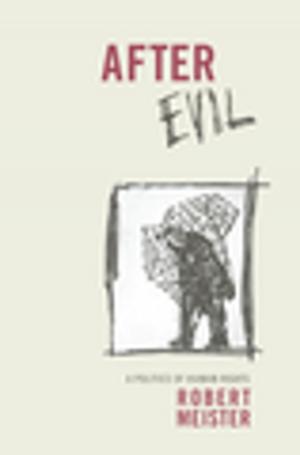 Cover of the book After Evil by Evan Friss