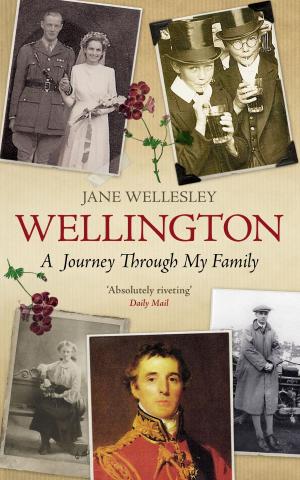 Cover of the book Wellington by Kate Mosse