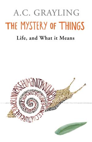Cover of the book The Mystery of Things by Helen McCloy