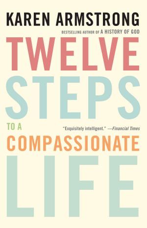 Cover of the book Twelve Steps to a Compassionate Life by Rebecca Goldstein