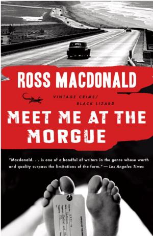 Cover of the book Meet Me at the Morgue by David Peace