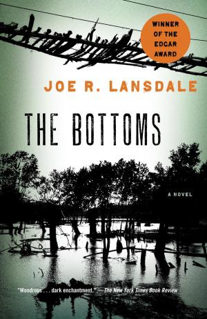 Cover of the book The Bottoms by Tom Segev