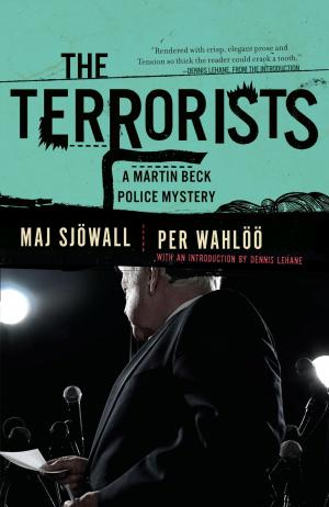 bigCover of the book The Terrorists by 