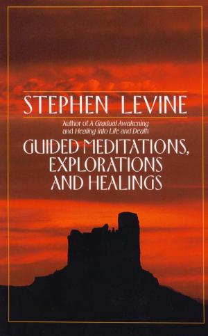 bigCover of the book Guided Meditations, Explorations and Healings by 