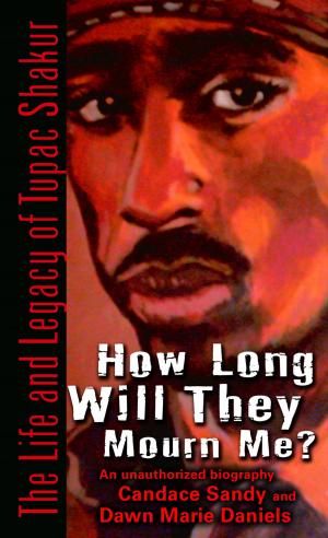 Cover of the book How Long Will They Mourn Me? by Michael J. Sullivan