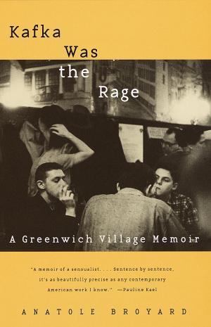 Cover of the book Kafka Was the Rage by Brad Matsen