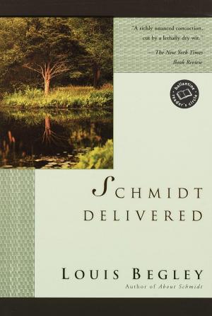 Cover of the book Schmidt Delivered by David Sherman