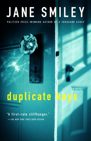 Book cover of Duplicate Keys