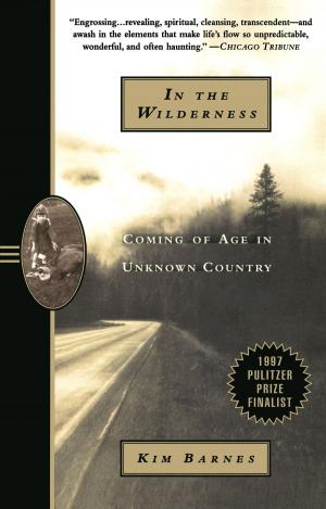 Cover of the book In the Wilderness by Joseph Heller