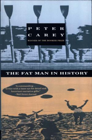 Cover of the book Fat Man in History by Mark Mazower