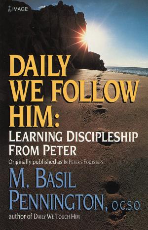 Cover of the book Daily We Follow Him by Kim Meeder