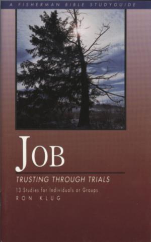 Cover of the book Job by Eric Wilson