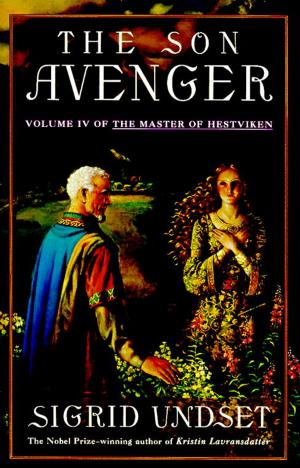 Cover of the book The Son Avenger by Jann DiPaolo