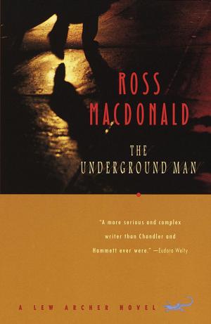 Cover of the book The Underground Man by Simon Armitage