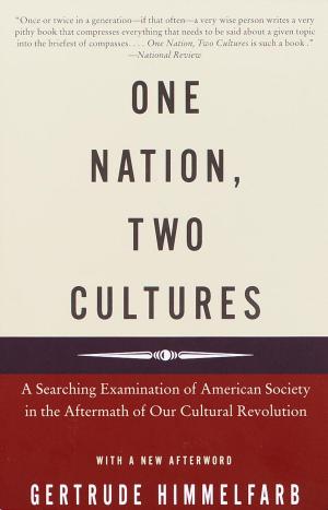 Cover of the book One Nation, Two Cultures by Elie Wiesel
