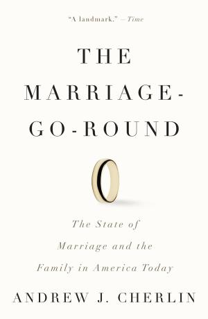 Cover of the book The Marriage-Go-Round by Laura Fairchild Brodie