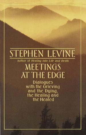 Book cover of Meetings at the Edge