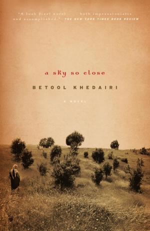 Cover of the book A Sky So Close by Barbara Vine