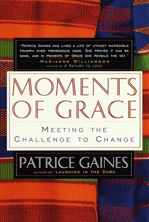 Book cover of Moments of Grace