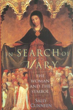 Cover of the book In Search of Mary by Christian Lander