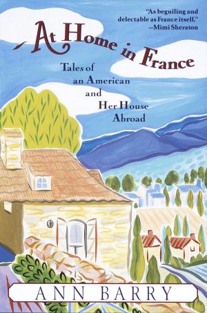 Cover of the book At Home in France by jean francois GUEUX