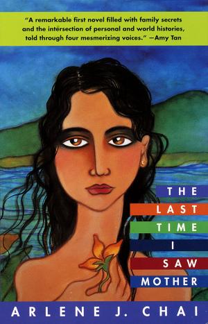 Cover of the book The Last Time I Saw Mother by Salman Rushdie