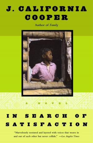 Cover of the book In Search of Satisfaction by Susan Conley