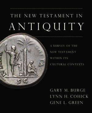 Cover of the book The New Testament in Antiquity by Pete Briscoe