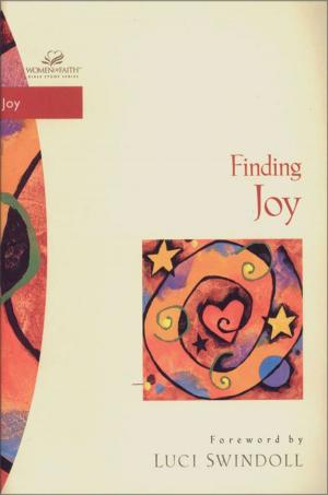 Cover of the book Finding Joy by Melissa Trevathan, Helen Stitt Goff