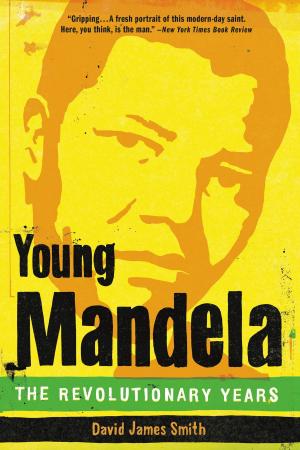 Cover of the book Young Mandela by Walter Mosley