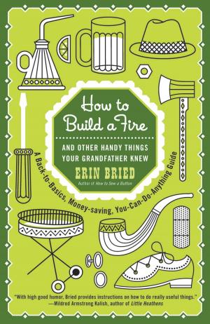Cover of the book How to Build a Fire by Jim Lehrer
