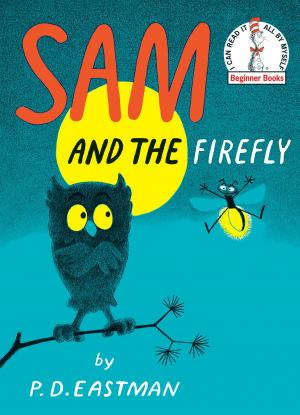 Book cover of Sam and the Firefly