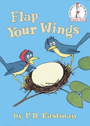Cover of the book Flap Your Wings by Rachel Chlebowski