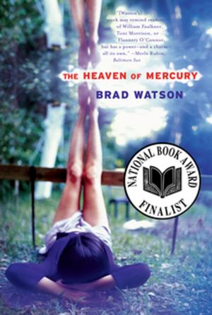 Cover of the book The Heaven of Mercury: A Novel by William McKeen