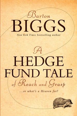 Cover of the book A Hedge Fund Tale of Reach and Grasp by Raimund Mannhold, Hugo Kubinyi, Gerd Folkers