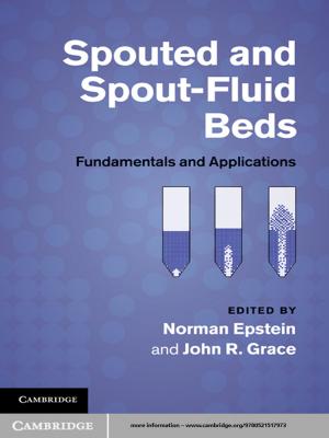 Cover of the book Spouted and Spout-Fluid Beds by Kate McLoughlin