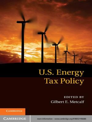Cover of the book US Energy Tax Policy by T. William Donnelly, Joseph A. Formaggio, Barry R. Holstein, Richard G. Milner, Bernd Surrow