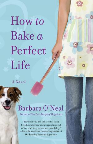 bigCover of the book How to Bake a Perfect Life by 