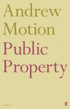 Book cover of Public Property