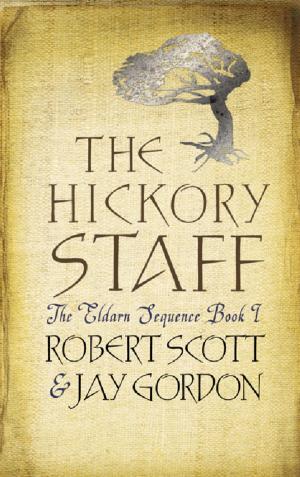 Book cover of The Hickory Staff
